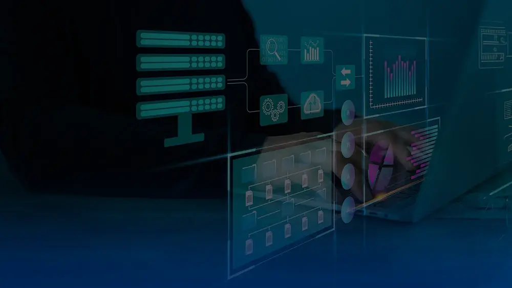 Custom Data Management Software