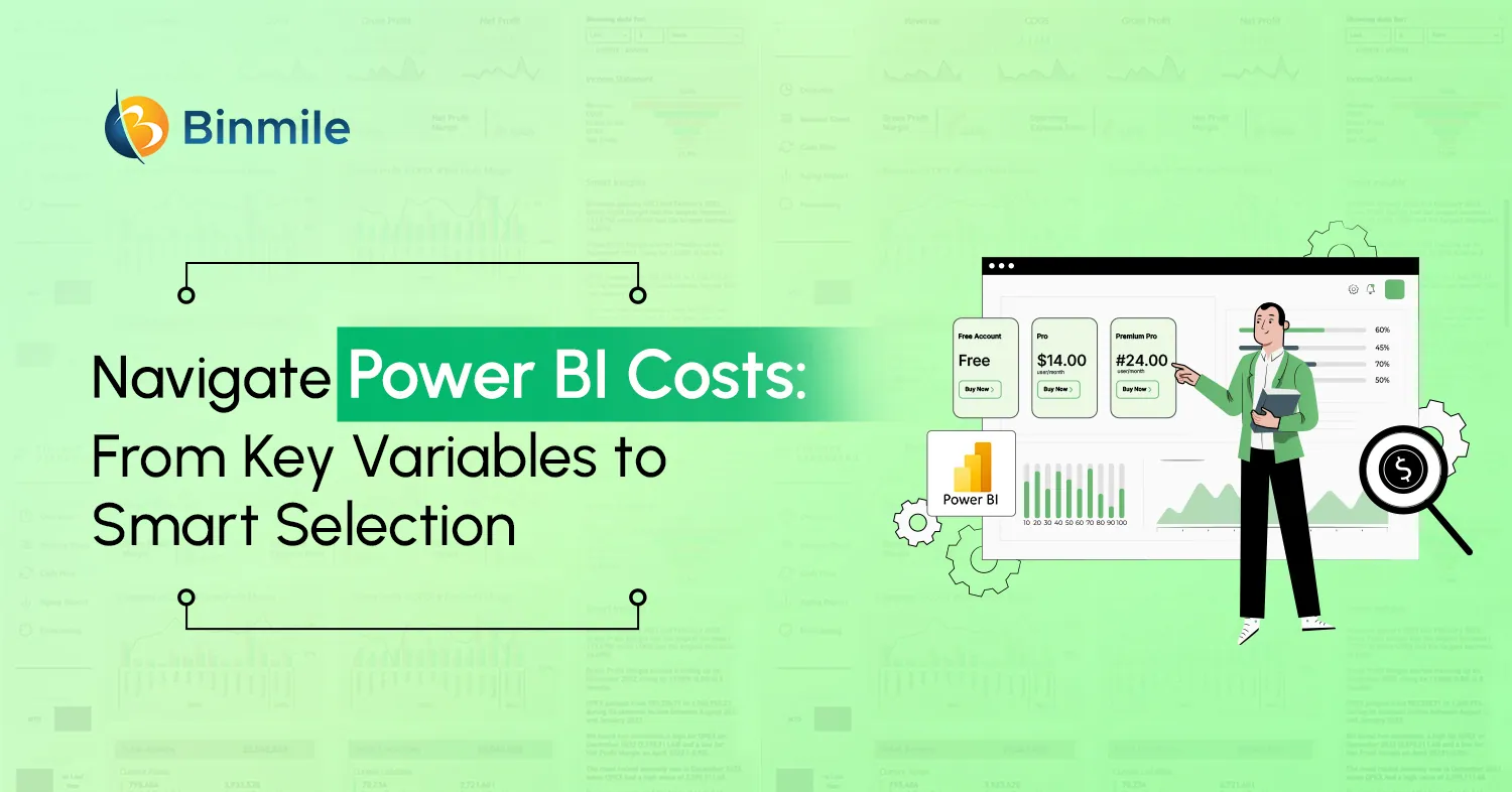 Power BI Cost | Binmile