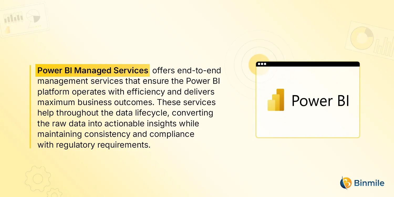 Power BI Managed Services | Binmile