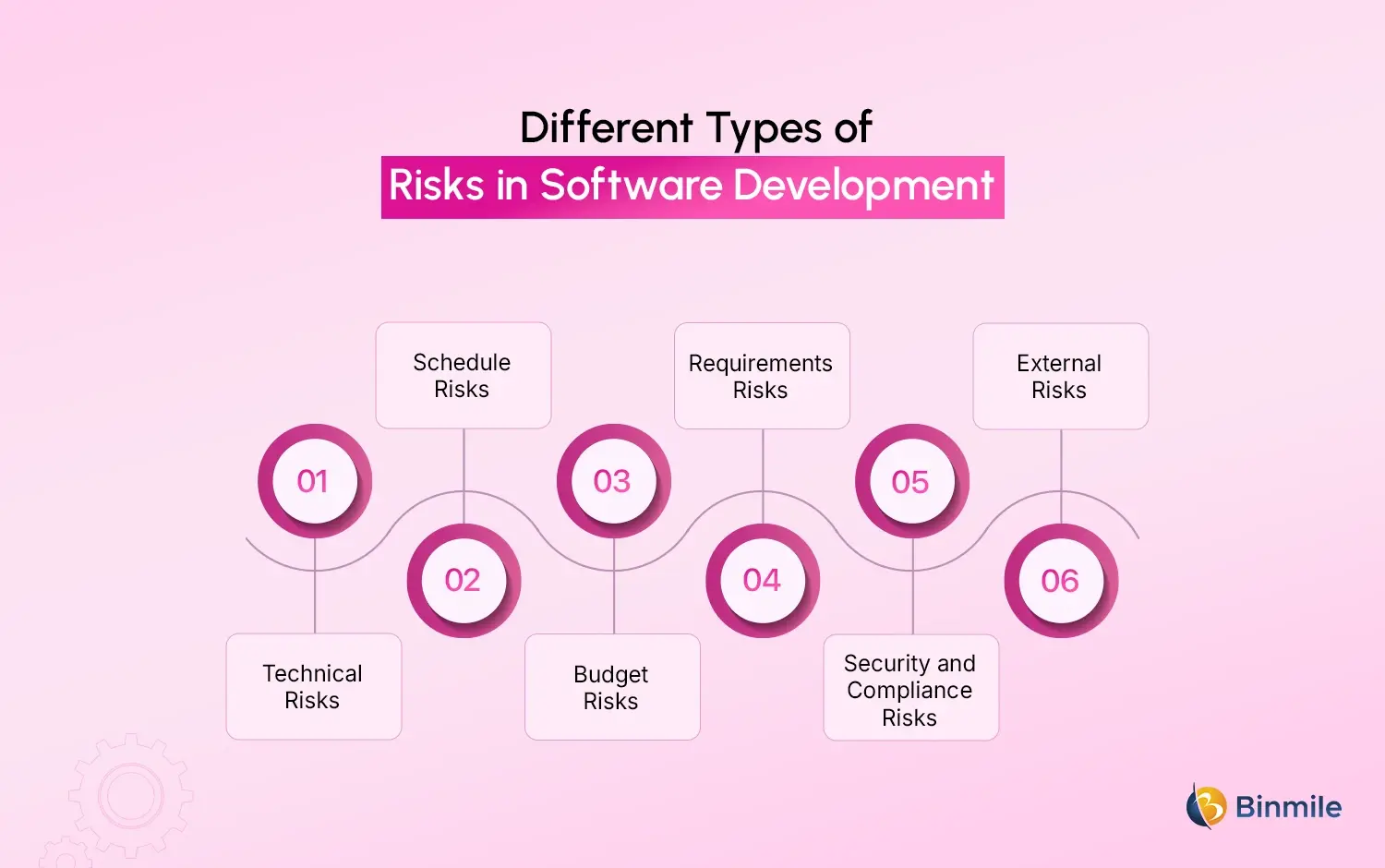 Risk Management in Software Development