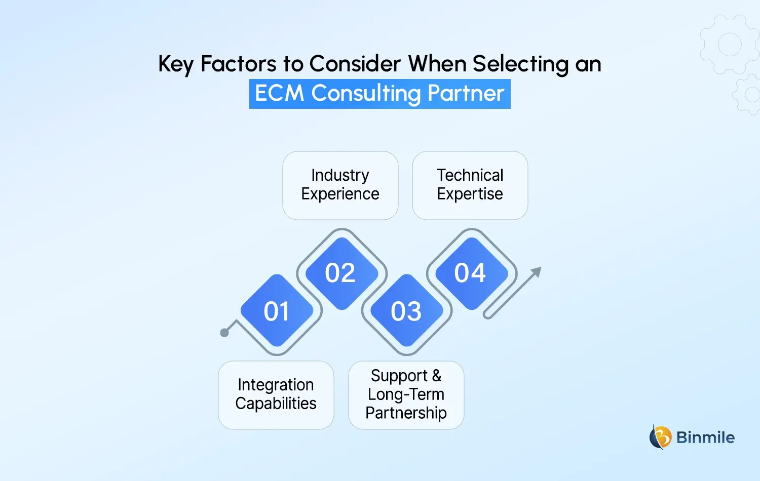 ecm consulting partner