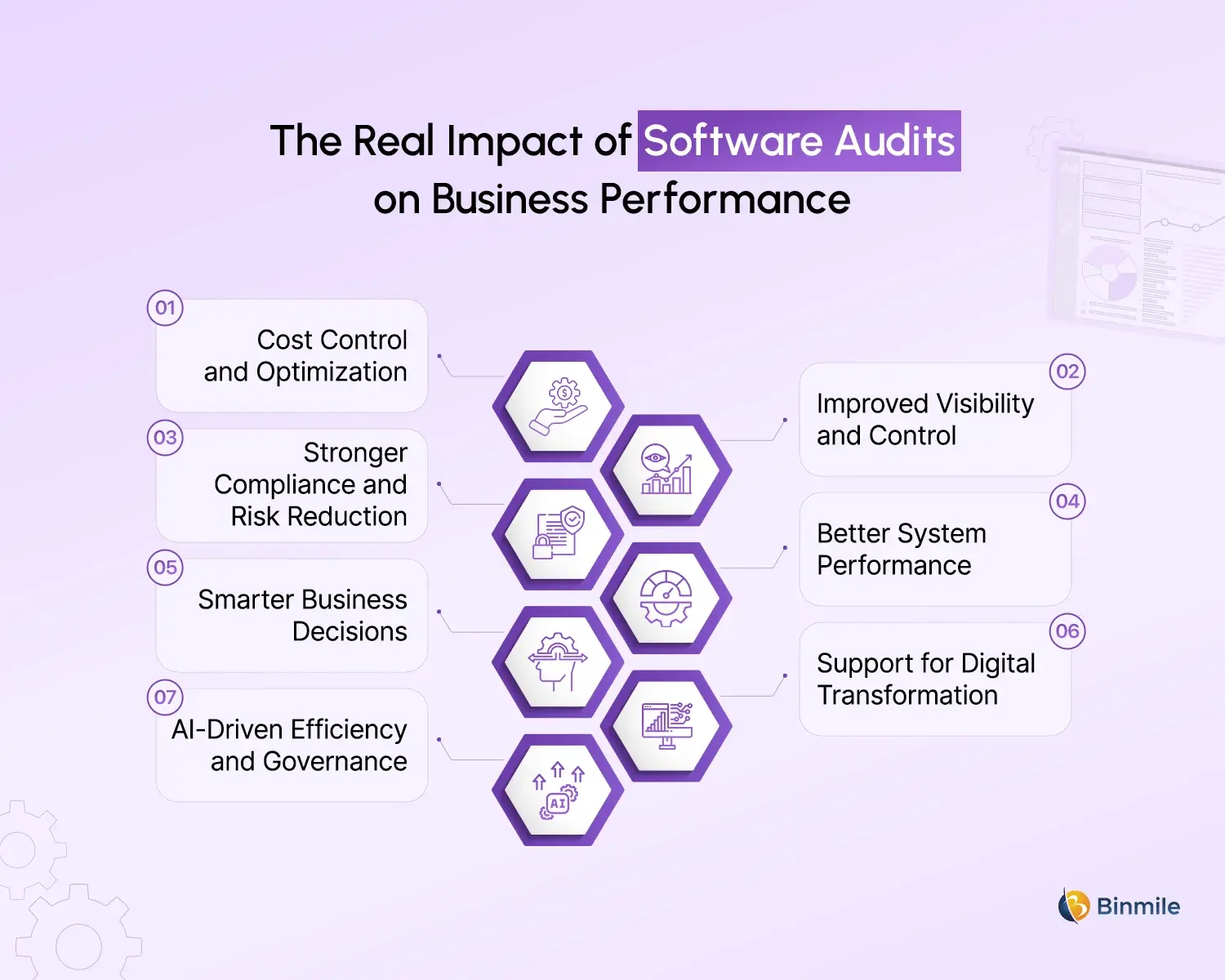 Software Audit importance