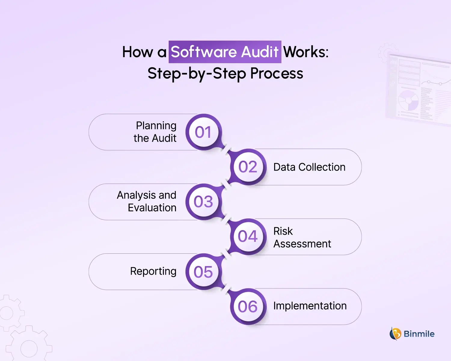 Software Audit process