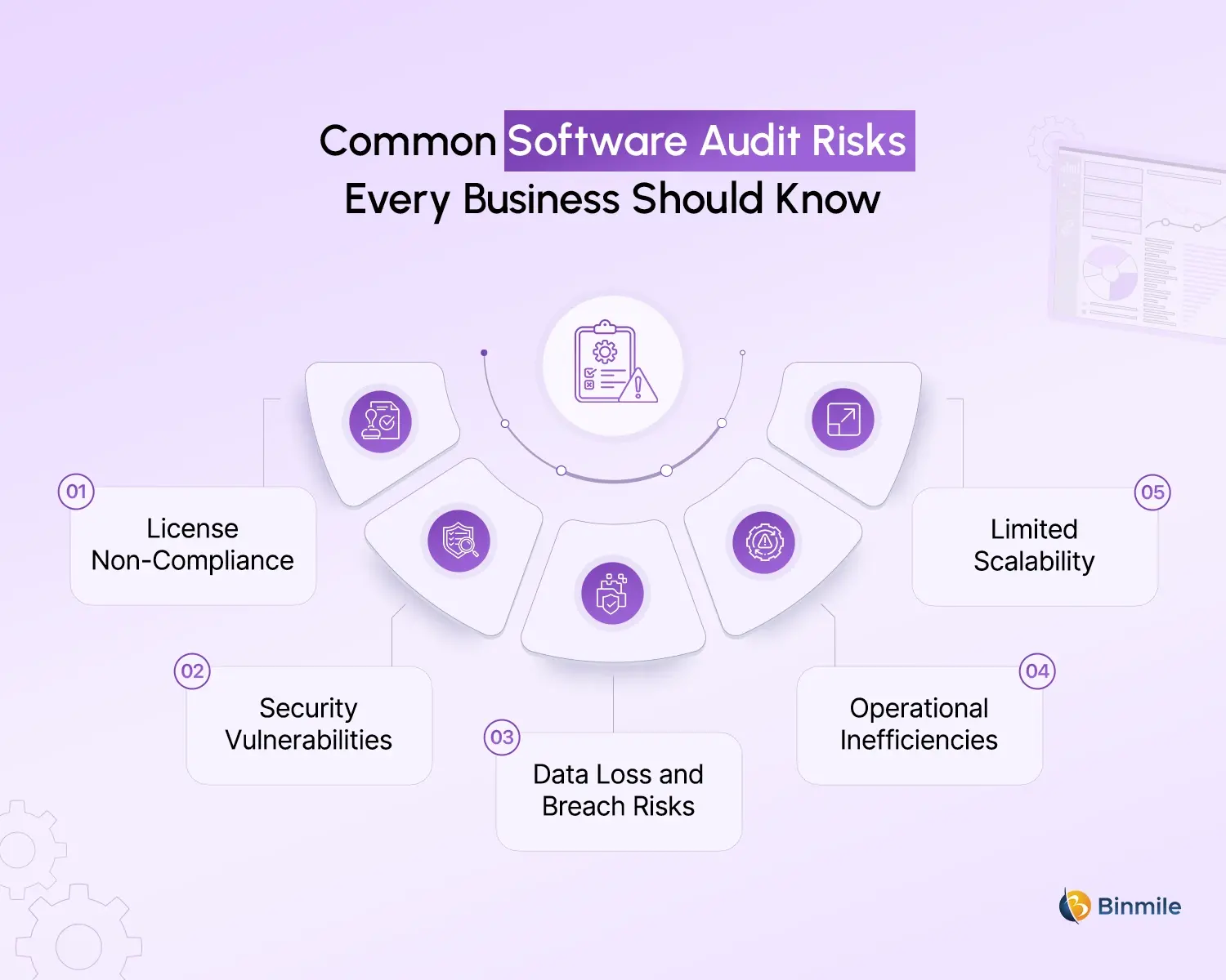 Software Audit risks